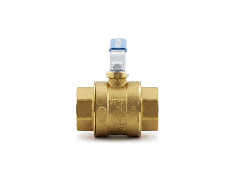 MAXITROL BV250-1 1/4