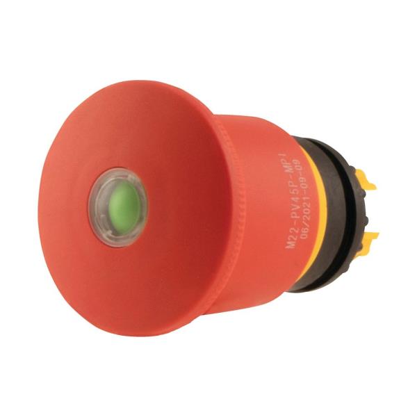EATON CORPORATION M22-PV45P-MPI