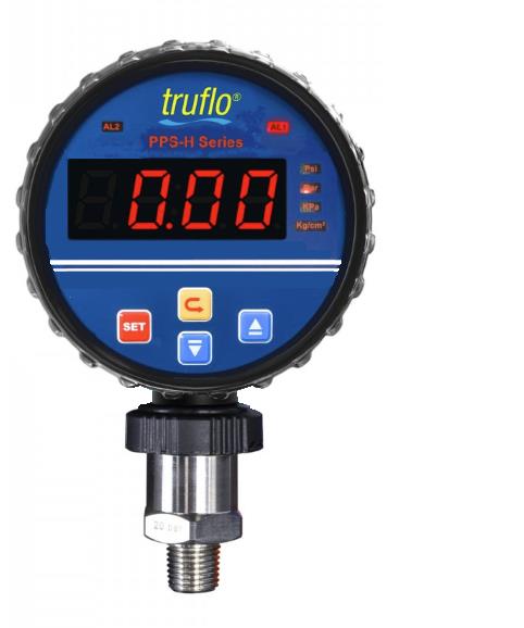 ICON PROCESS CONTROLS PPS-10-PP-F-H