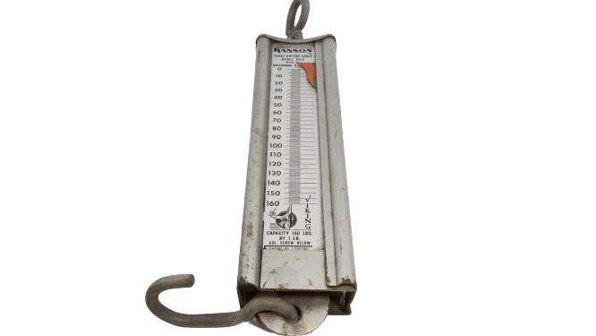 HANSON SCALES 8916