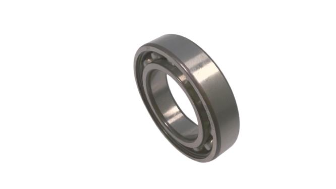 SCHAEFFLER GROUP 6008