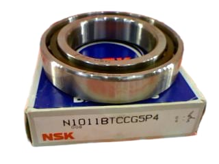 NSK N1011BTCCG5P4
