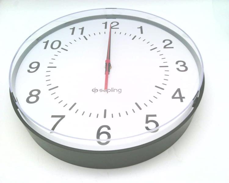 SAPLING SAL-4BS-12R-0