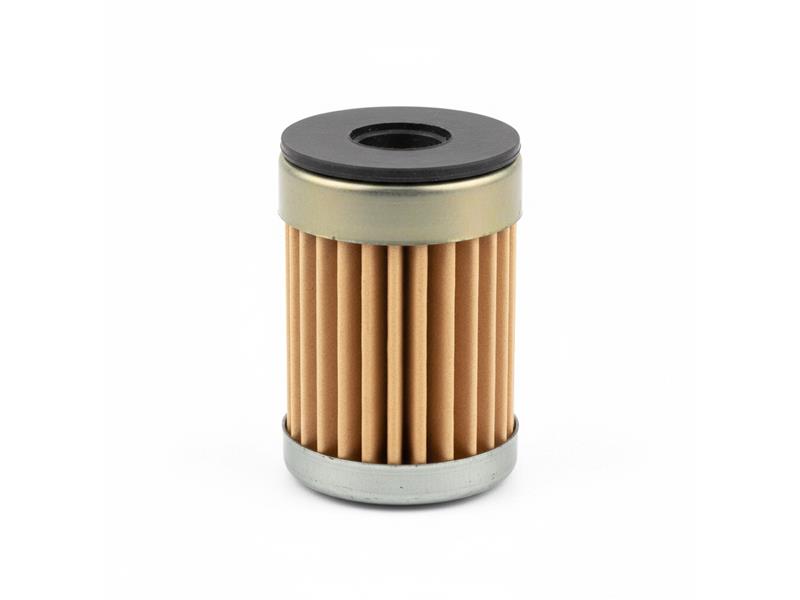FRAM CG11