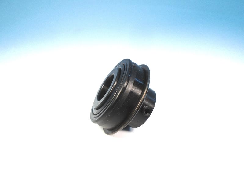 REGAL REXNORD ER12-3/4