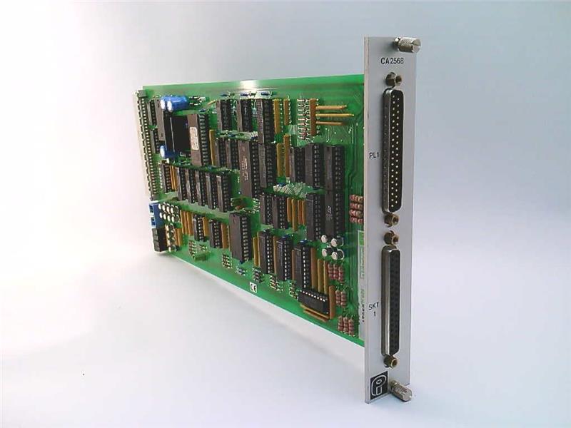 PEEKEL INSTRUMENTS CA-2568