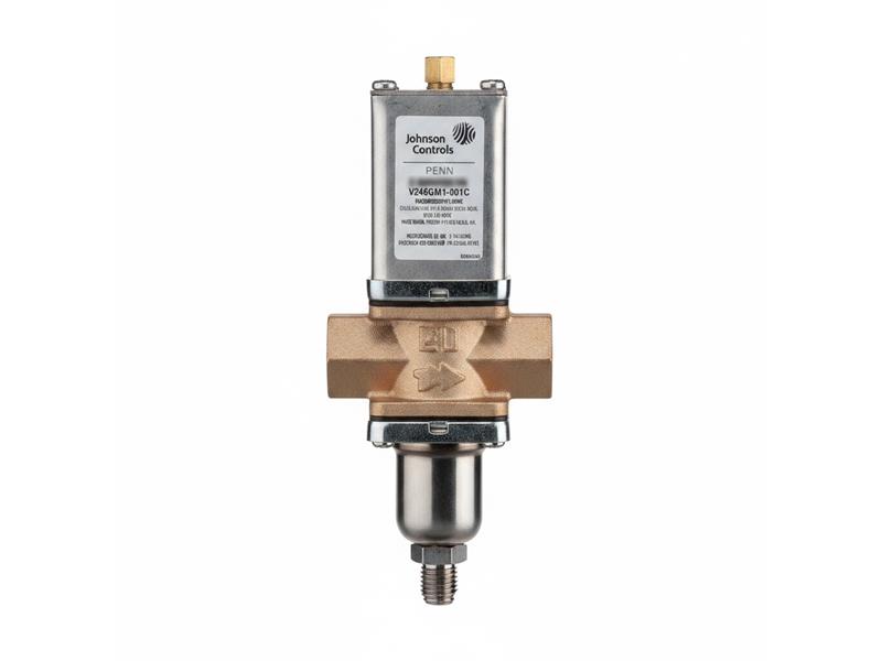 JOHNSON CONTROLS V246GM1-001C