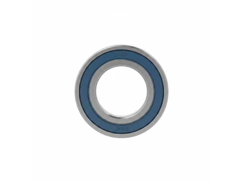 SCHAEFFLER GROUP 6006-C-2HRS-L038-C3