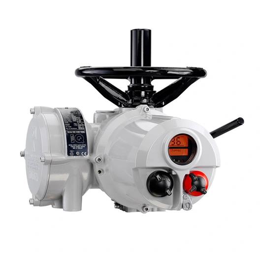 ROTORK SN C163260101