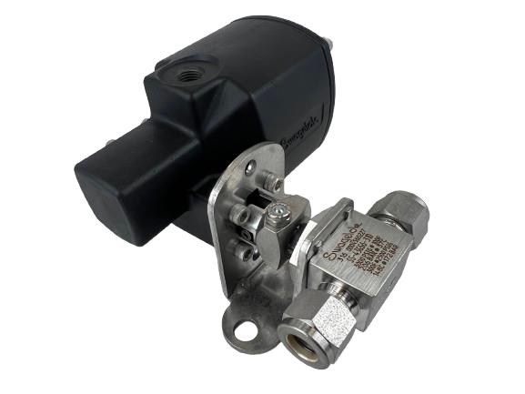 SWAGELOK SS-43GS6-31D