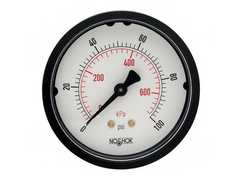 NOSHOK 25-110-3000-PSI/KPA-O2
