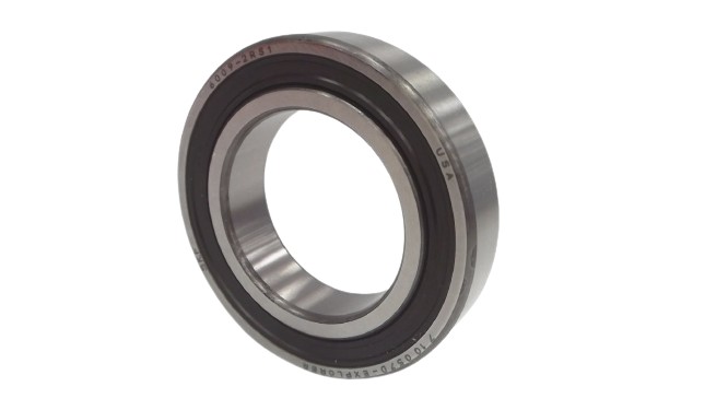 SKF 6009-2RS1