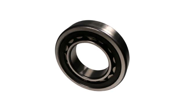 NU209E.TVP2 by SCHAEFFLER GROUP