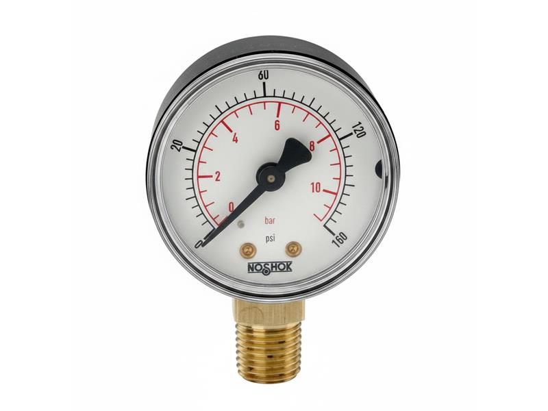 NOSHOK 20-110-100-PSI/KPA-1/8-SSB-BP3-CC