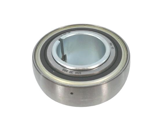 SCHAEFFLER GROUP GSH30RRB