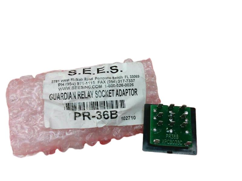 SEES INC PR-36B