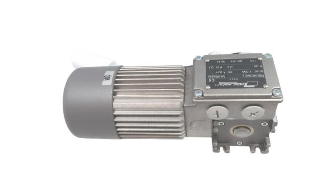 MINI MOTOR MC160P2-373RPM