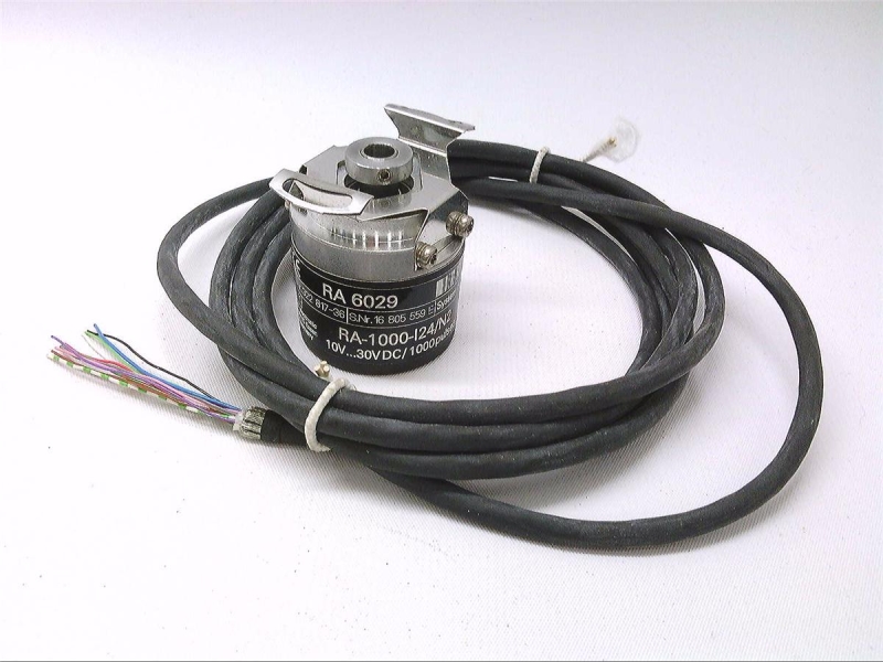 RA-1000-I24/N2 by EFECTOR