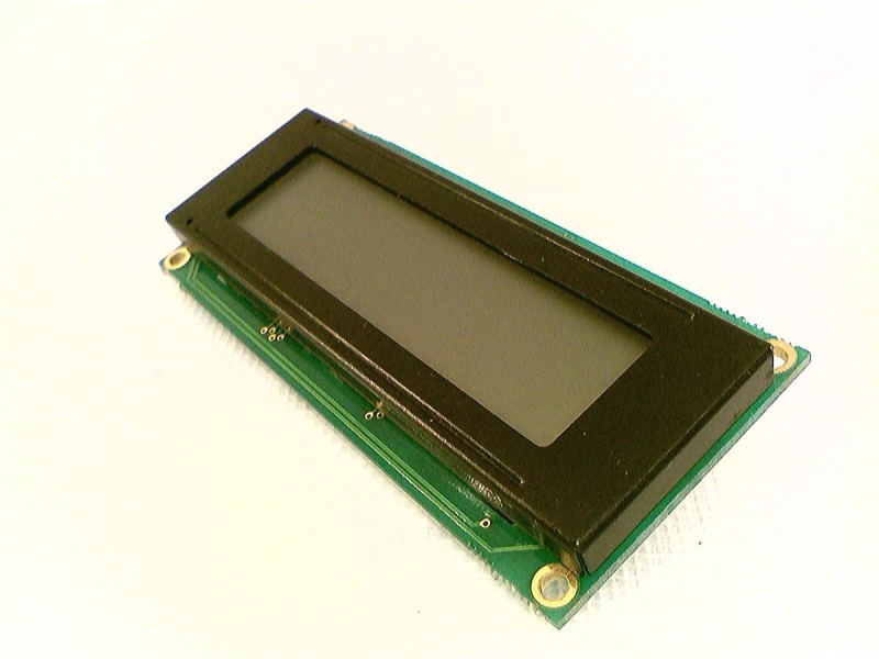 P16123 by THERMO FISHER SCIENTIFIC