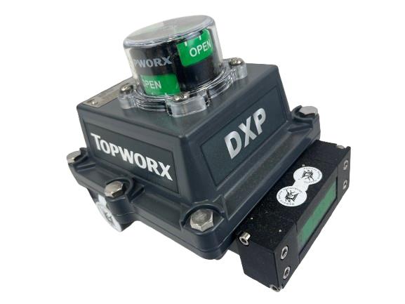 TOPWORX DXP-DN1GNEB1A2
