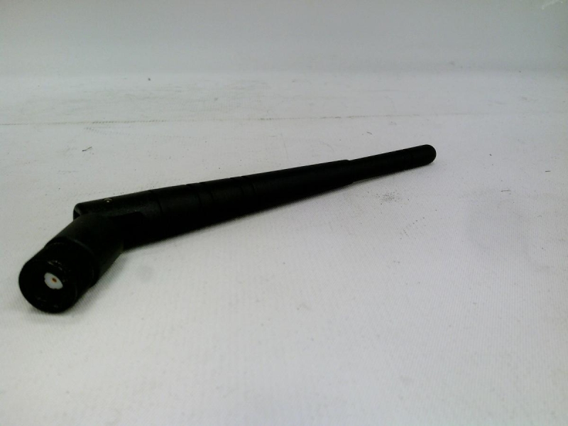 P1037974-053 by ZEBRA