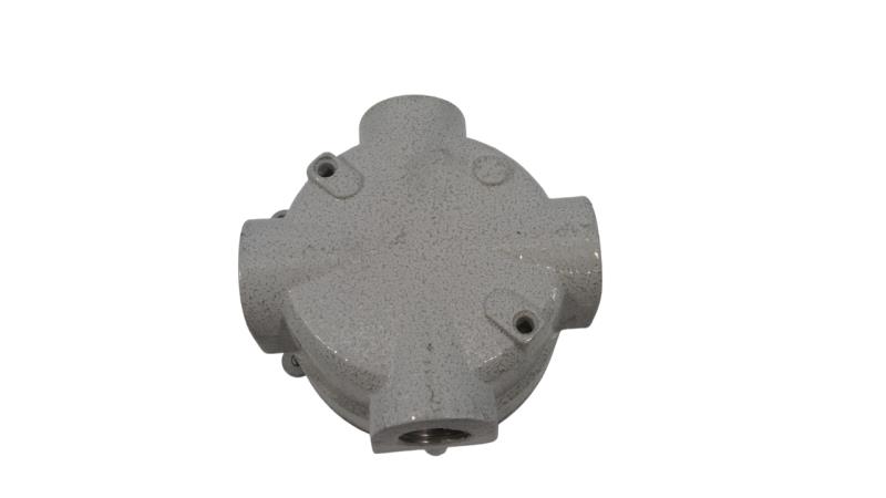 CORTEM GROUP SX-16.1N