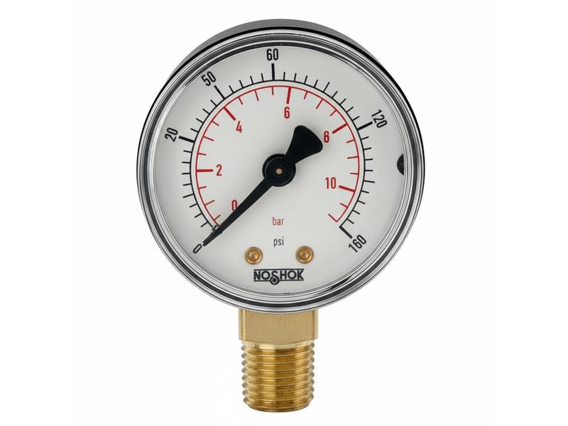 NOSHOK 20-110-60-PSI/BAR-SSB-BP3