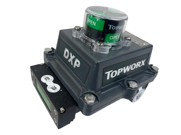 TOPWORX DXP-DN1GNEB1A2