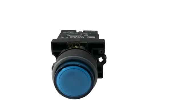 SHAMROCK RCP2-BW166-12