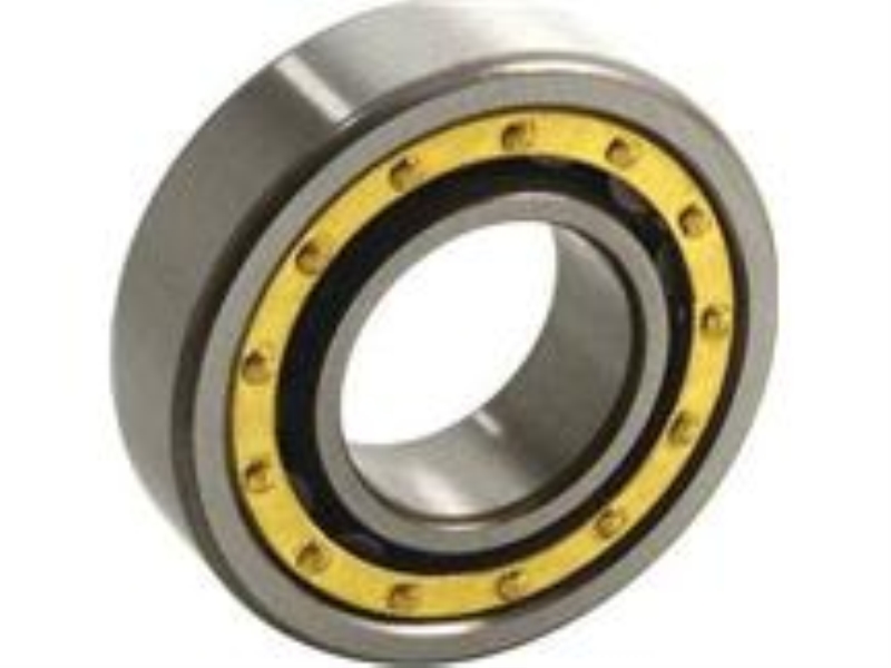 BEARINGS LIMITED NU1024M/C3
