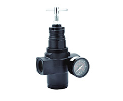 R17-B01-RGLA by NORGREN