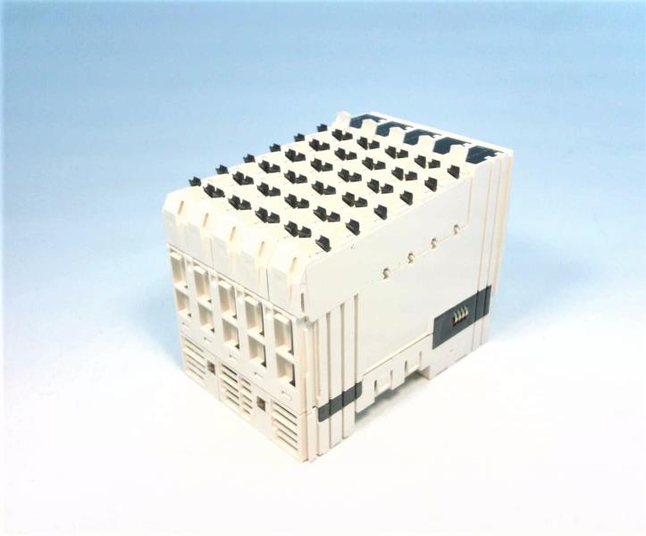 SCHNEIDER ELECTRIC TM5C24D12R