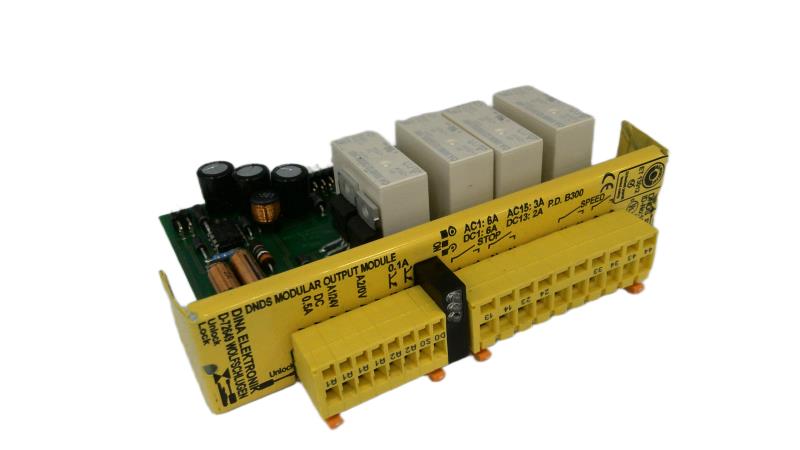 DINA ELEKTRONIK DNDS-PMG/10PG01
