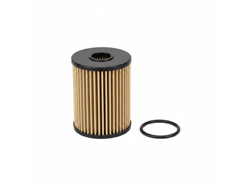 BETA 1 FILTERS B1AF0001884