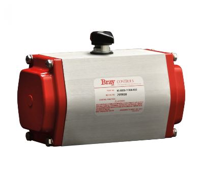 BRAY 92-0630-11310-532