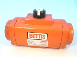 BETTIS RPES0100-NU30CWALTN-L19SKB-00XX