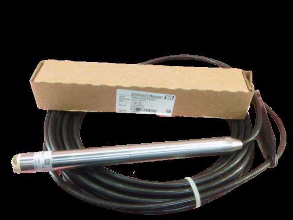 ENDRESS & HAUSER FMX21-9FD4/0