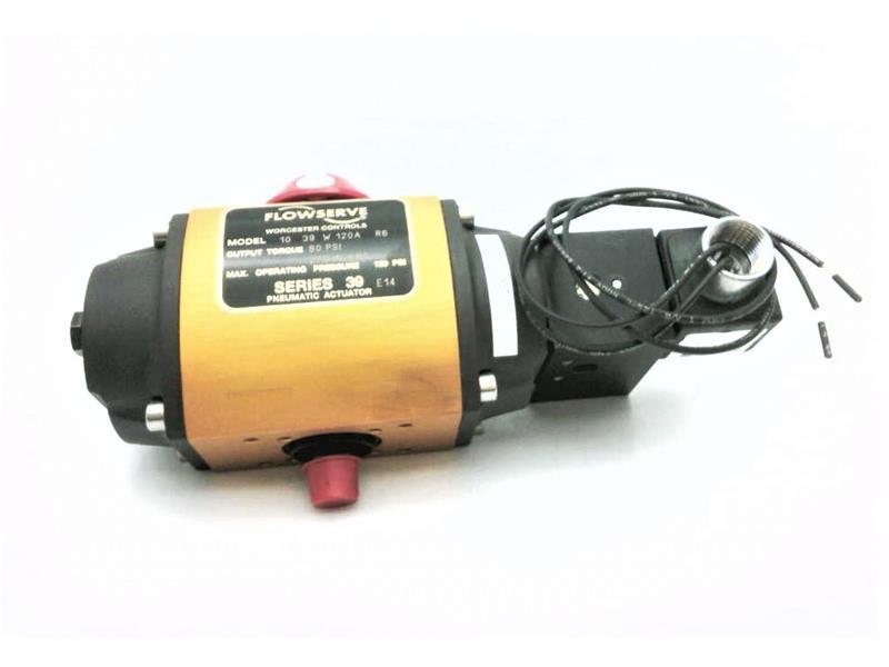 10-39-W-120A-R6 by FLOWSERVE