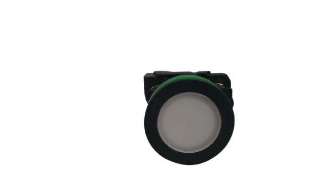 SCHNEIDER ELECTRIC XB5FVG1