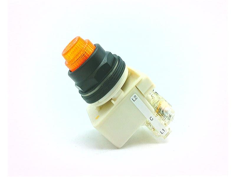 SCHNEIDER ELECTRIC 9001-SKT38LYA31