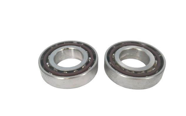 SCHAEFFLER GROUP 206HDM