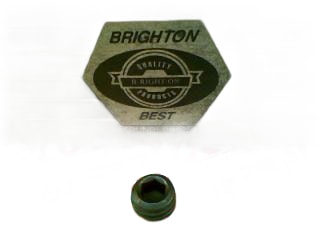 BRIGHTON M8-1.25X6