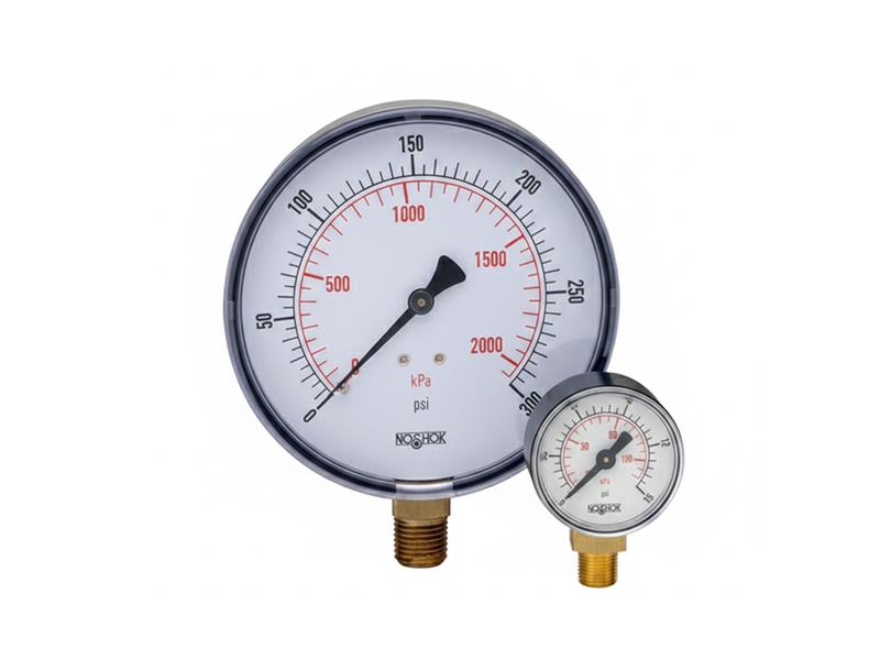 NOSHOK 25-110-100-PSI/KPA-PMC-CC