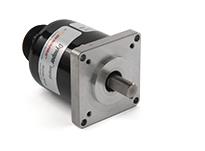 DYNAPAR H22080001224K21