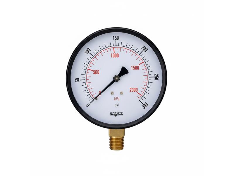 NOSHOK 20-110-100-PSI/KPA-1/8-SSB-BP3