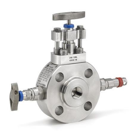 MGV0250300RFSS50XMQ by ASHCROFT