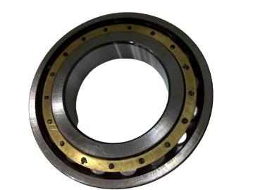 REGAL REXNORD MCS-221-106