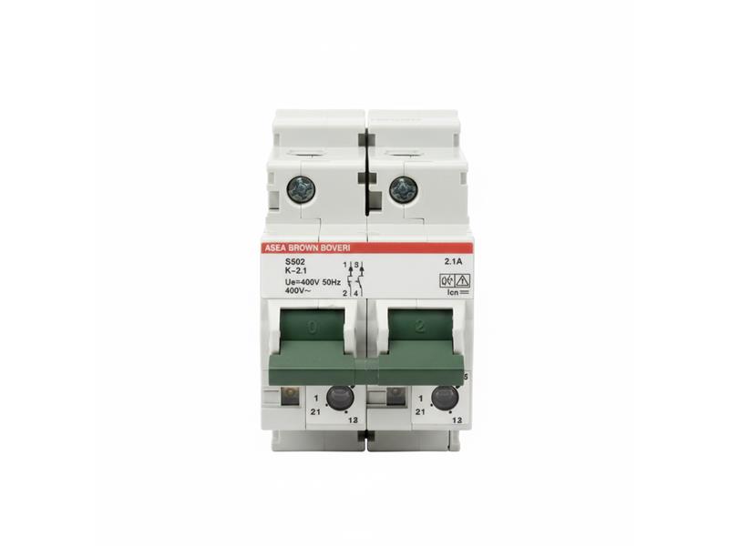 ASEA BROWN BOVERI S502-K2.1