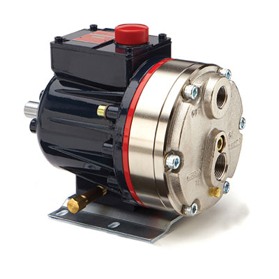 WANNER ENGINEERING D10XPCGSFECA