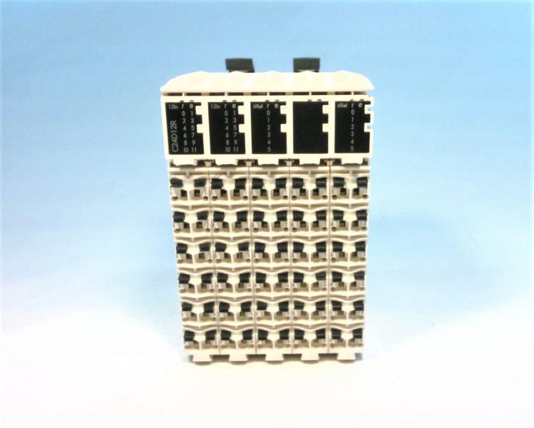 SCHNEIDER ELECTRIC TM5C24D12R